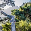 ZAF WC CapeTown 2016NOV14 KNBG 007 : 2016, 2016 - African Adventures, Africa, November, South Africa, Southern, Western Cape, Cape Town, Kirstenbosch National Botanical Garden